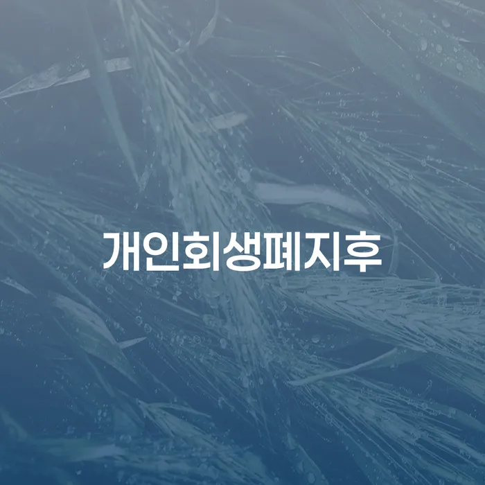개인회생전문 개인회생,개인파산으로 추천하는 변호사