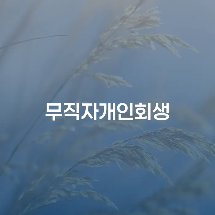 서초구 파산 개인회생 처리방법 성공은