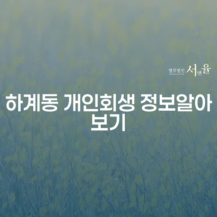 하계동 개인회생 정보알아보기