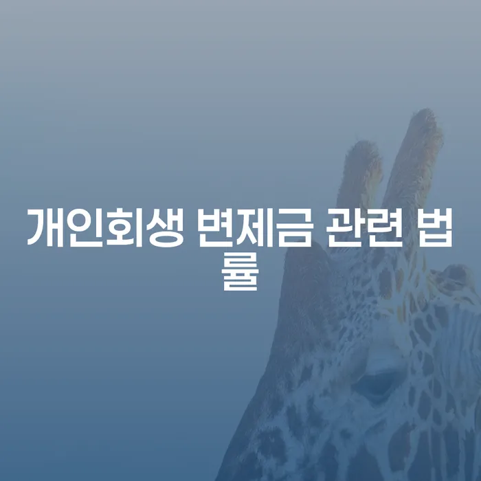 개인회생 변제금 관련 법률: 어떻게 해결할 수 있을까요?