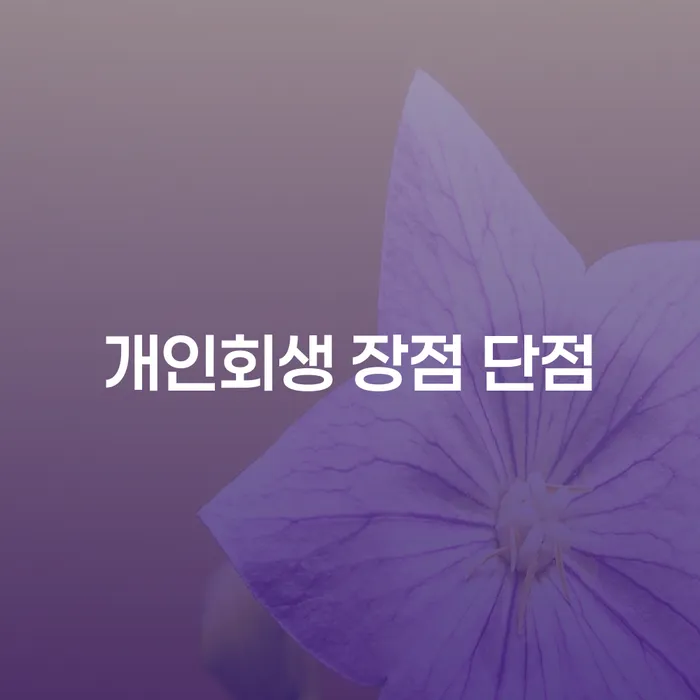 장위3동 개인회생의 장점과 단점