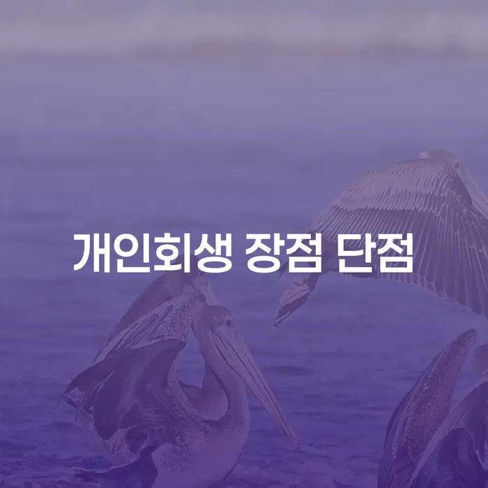 가락본동 개인회생의 장점과 단점 이해하기