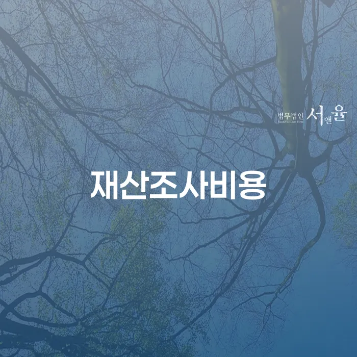 재산조사비용이 부담스러워요? 개인회생과 개인파산 신청으로 해결할 수 있는 방법은?
