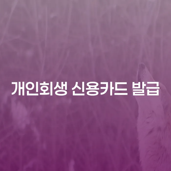 개인회생 후 신용카드 발급, 어떻게 가능할까요?
